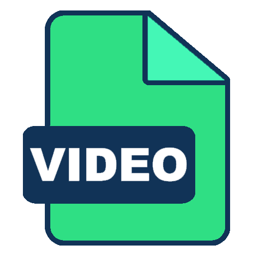 Video format