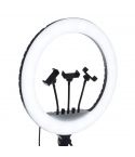 General Ring Light RL-21 Full LED 3 IN 1 & Remote Control