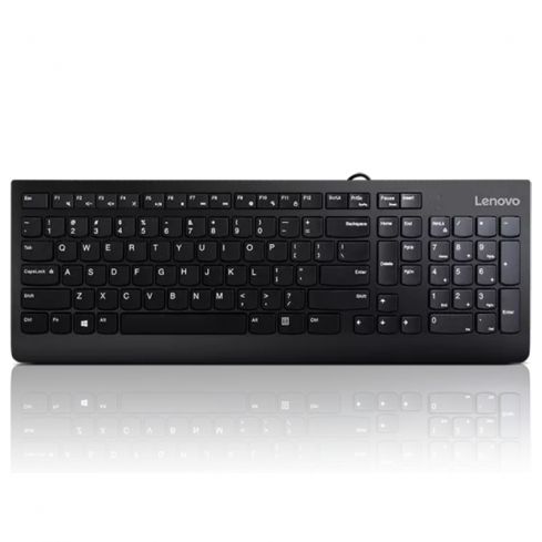 Lenovo 300 USB Keyboard - GX30M39656 - Black