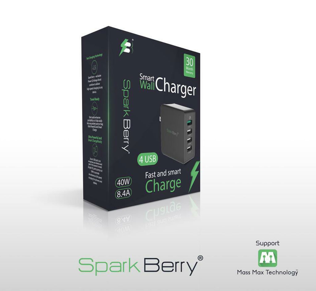 Spark Berry Smart Wall Charger USB Ports 40W